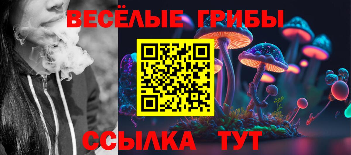 Псилоцибиновые грибы GOLDEN TEACHER Егорьевск