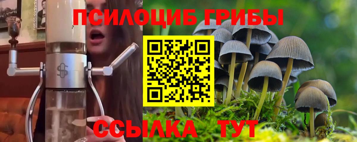 Егорьевск  Галлюциногенные грибы GOLDEN TEACHER  Вход с VPN 